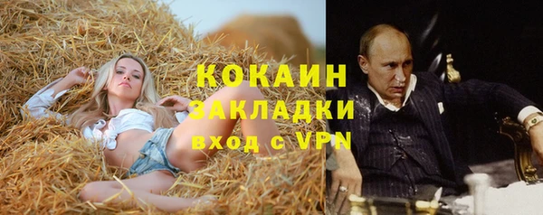 ГАЛЛЮЦИНОГЕННЫЕ ГРИБЫ Верхнеуральск